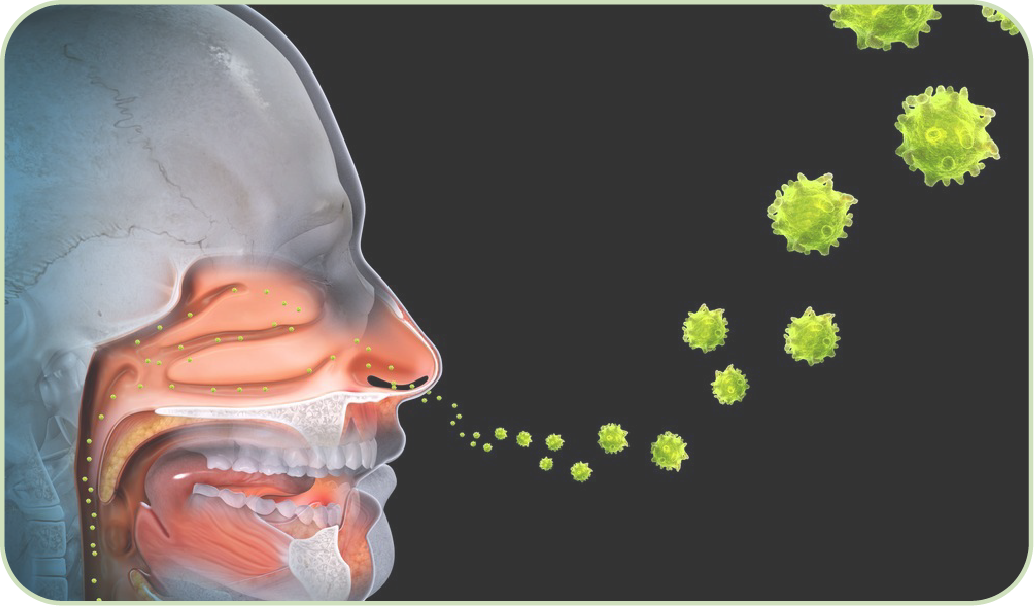 코 클리닉 대표이미지